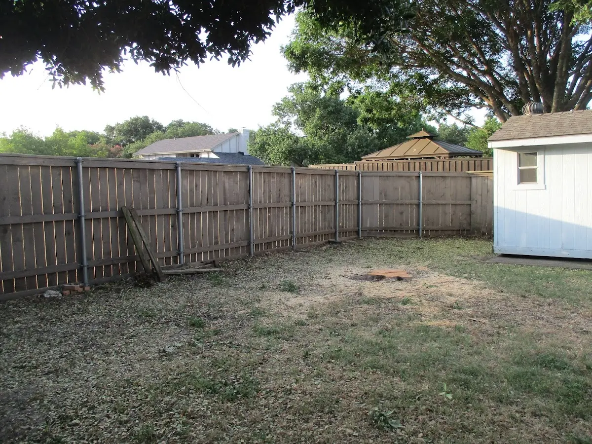 Cleared yard after professional tree removal in Hunt