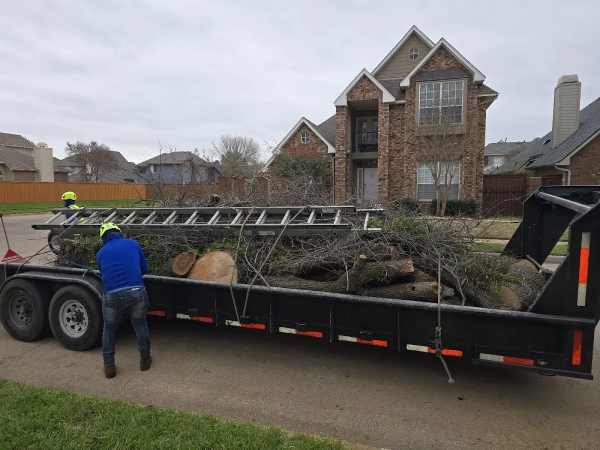 Expert Tree Fertilization with proper safety equipment in Hunt